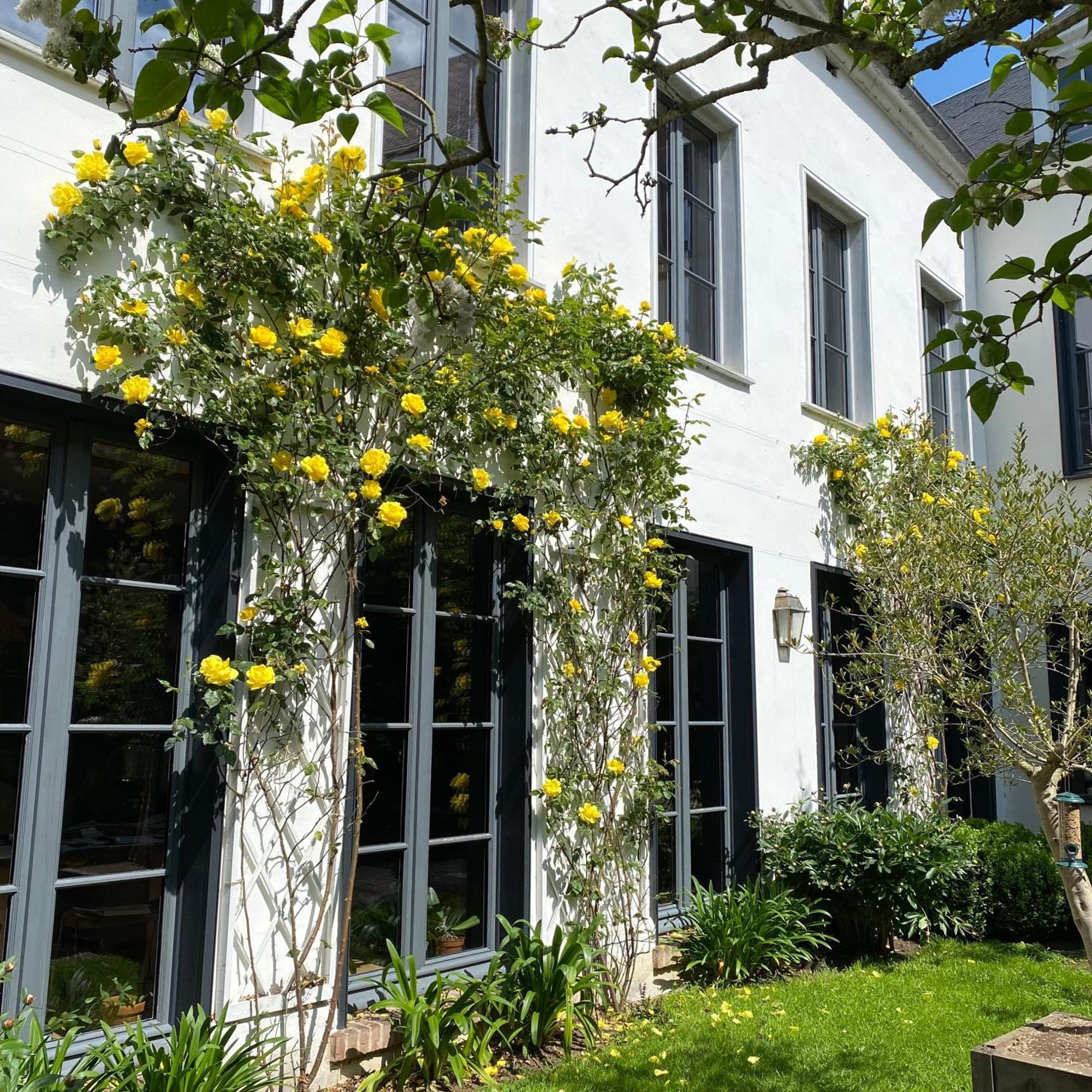Bed and Breakfast Côté Baie Saint-Valery-sur-Somme Exterior foto